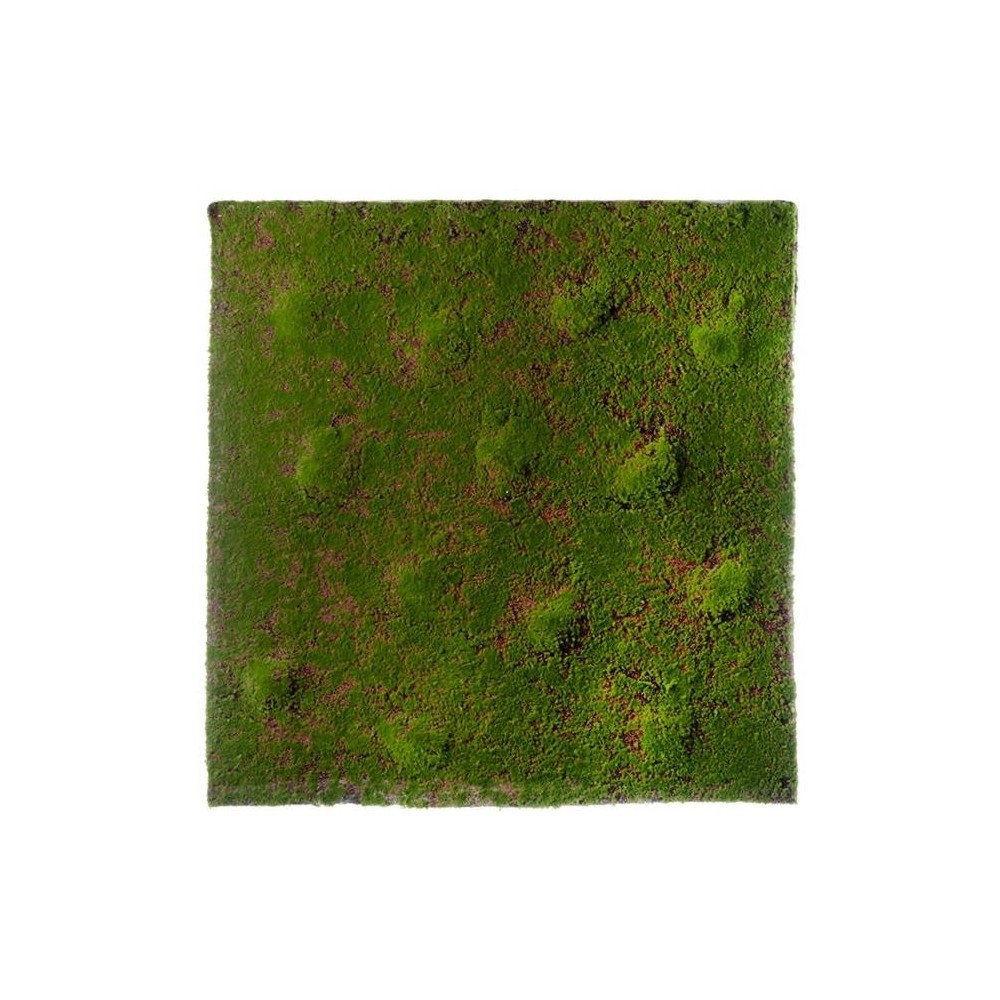 MATTONELLA MUSCHIO 100X100CM